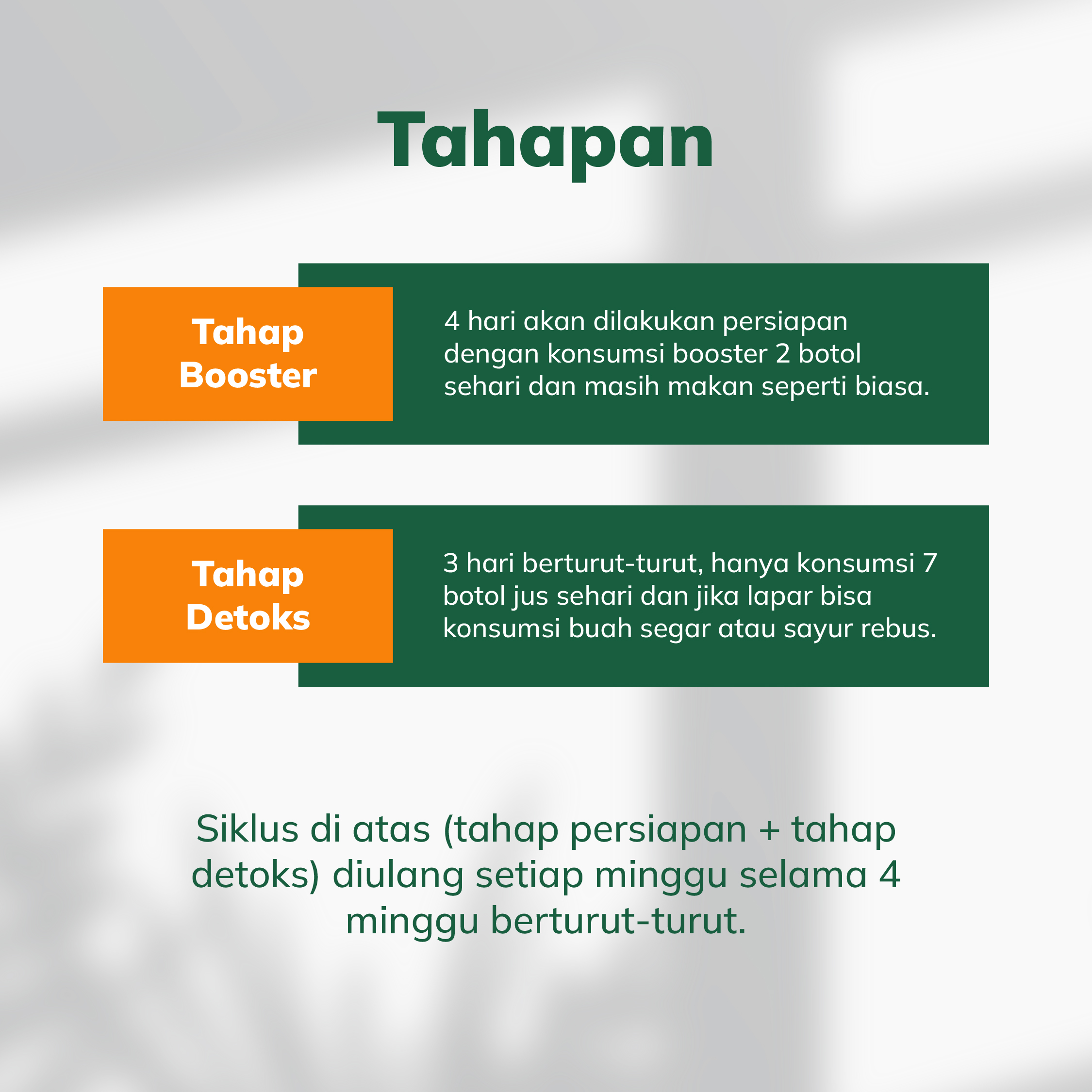 IT's Buah_Square Program Detoks-06