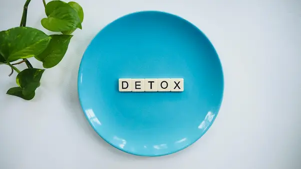 apa itu detox